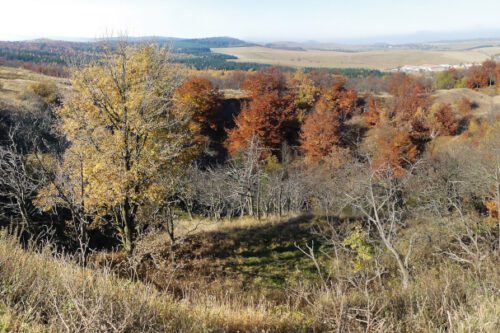 Foto: Věra Kučová